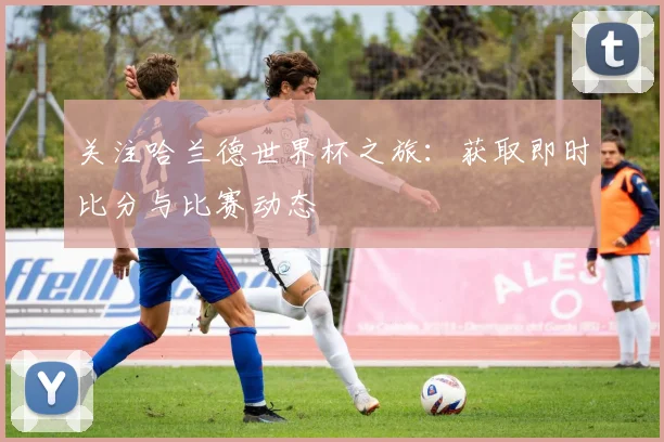 关注哈兰德世界杯之旅：获取即时比分与比赛动态
