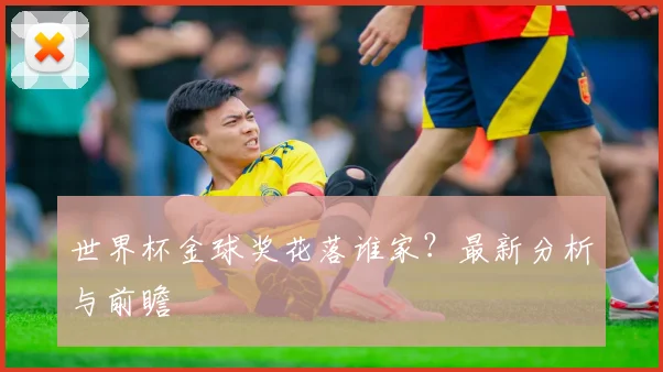 世界杯金球奖花落谁家?最新分析与前瞻